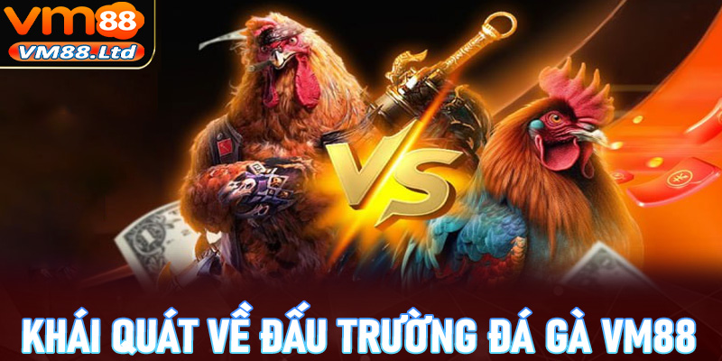 Khái quát chung về đấu trường đá gà vm88 