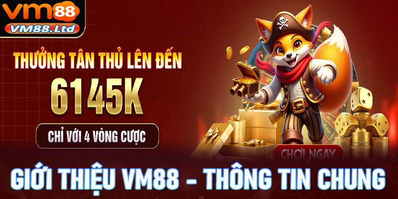 Giới thiệu VM88 - Thông tin tổng quan chung