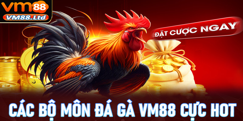 Các bộ môn cá cược đá gà vm88 cực hot trên thị trường