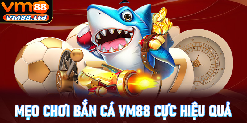 Chia sẻ mẹo chơi bắn cá VM88 cực hiệu quả giúp tăng tỷ lệ thắng