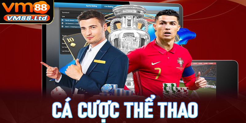 Cá cược thể thao có nhiều bộ môn hấp dẫn