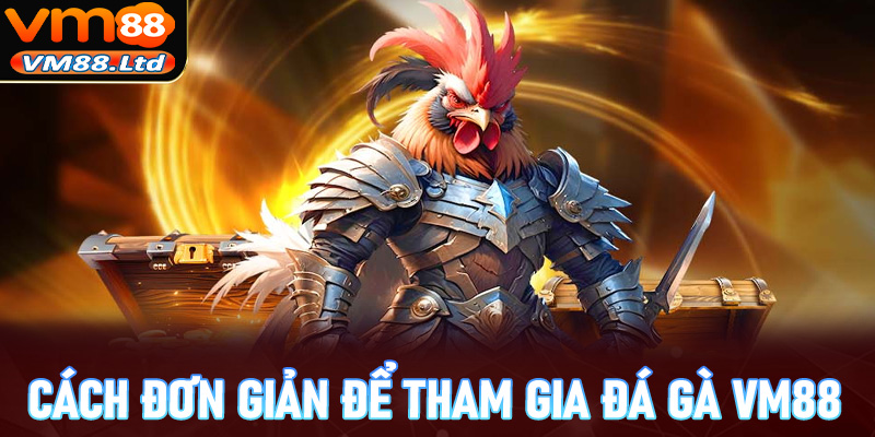 Hướng dẫn các thao tác đơn giản để tham gia cá chọi gà tại VM88 